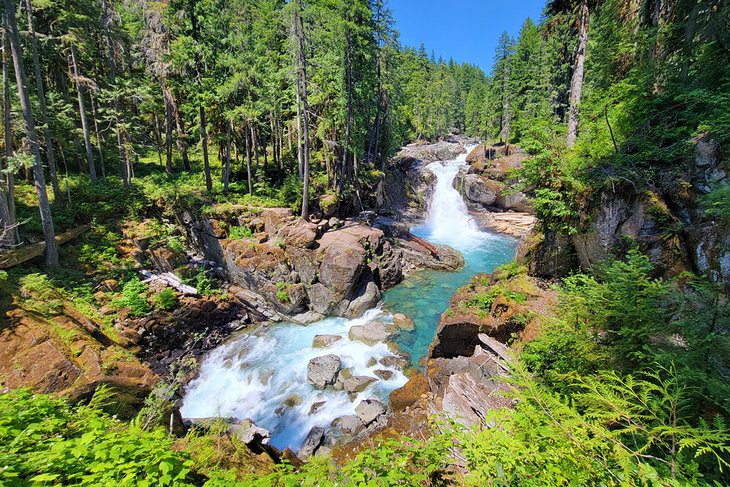 15 Top-Rated Hikes in Mount Rainier National Park, WA