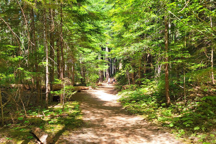 15 Top-Rated Hikes in Mount Rainier National Park, WA