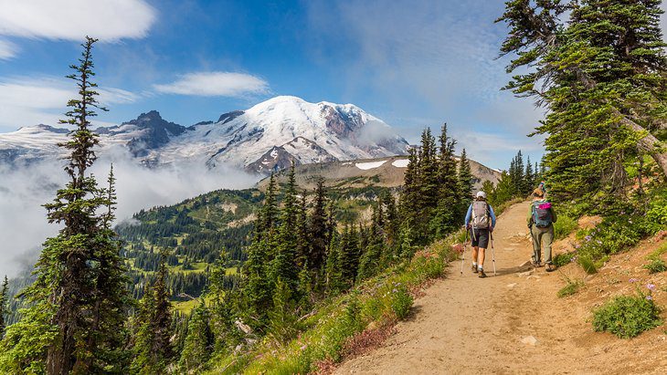 15 Top-Rated Hikes in Mount Rainier National Park, WA