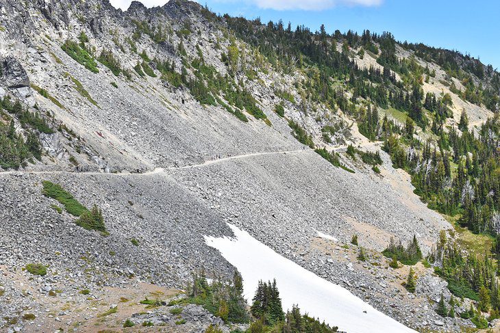 15 Top-Rated Hikes in Mount Rainier National Park, WA