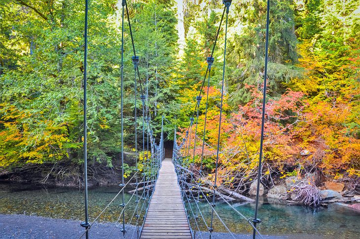 15 Top-Rated Hikes in Mount Rainier National Park, WA