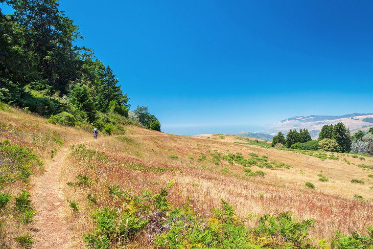 15 Top-Rated Hiking Trails in California