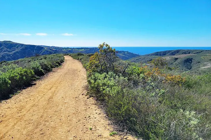 15 Top-Rated Hiking Trails in California