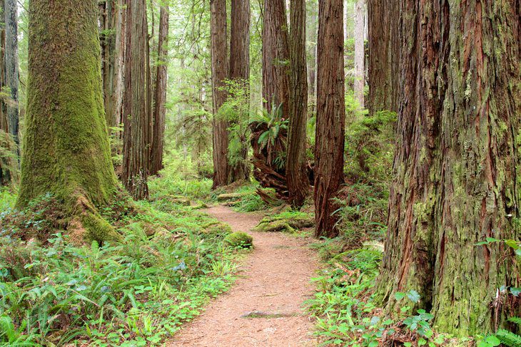 15 Top-Rated Hiking Trails in California