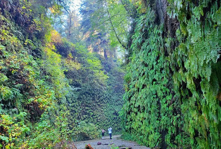 15 Top-Rated Hiking Trails in California