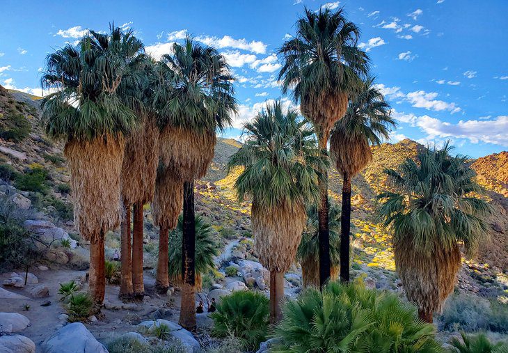 15 Top-Rated Hiking Trails in California