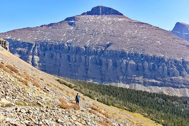 15 Top-Rated Hiking Trails in Glacier National Park, MT