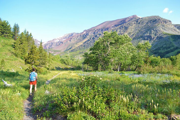 15 Top-Rated Hiking Trails in Glacier National Park, MT