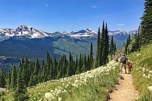 15 Top-Rated Hiking Trails in Glacier National Park, MT