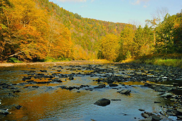 15 Top-Rated Hiking Trails in Pennsylvania