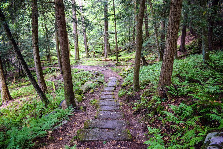 15 Top-Rated Hiking Trails in Pennsylvania