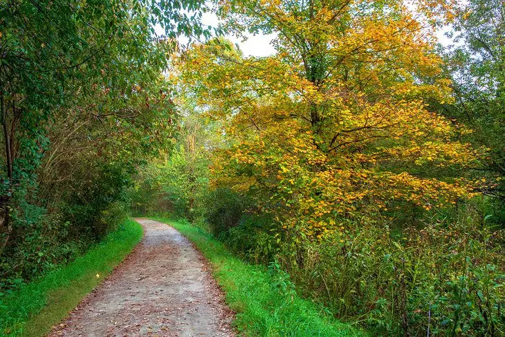 15 Top-Rated Hiking Trails in Pennsylvania