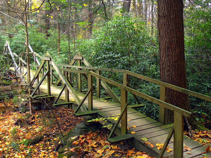 15 Top-Rated Hiking Trails in Pennsylvania