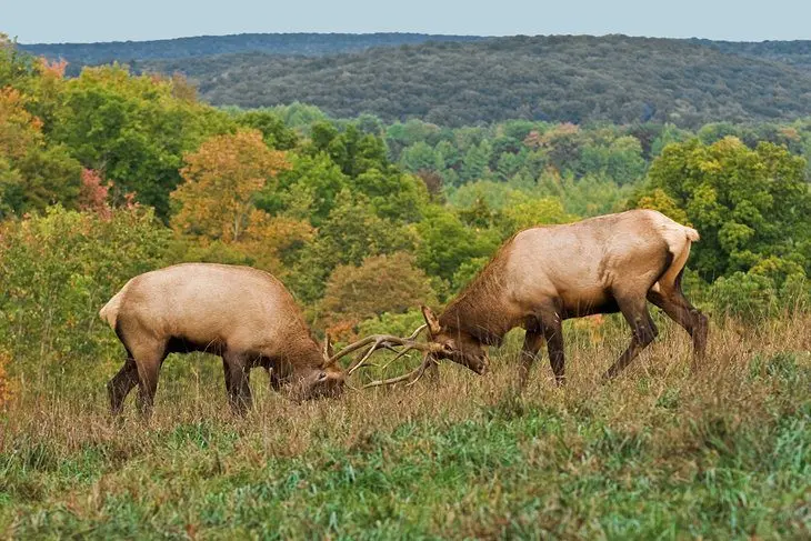 15 Top-Rated Hiking Trails in Pennsylvania