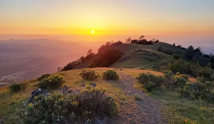 15 Top-Rated Hiking Trails near San Francisco, CA