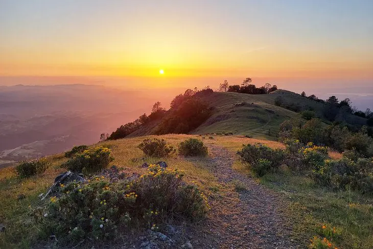 15 Top-Rated Hiking Trails near San Francisco, CA