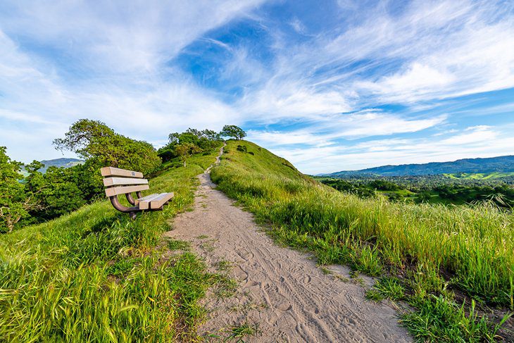 15 Top-Rated Hiking Trails near San Francisco, CA