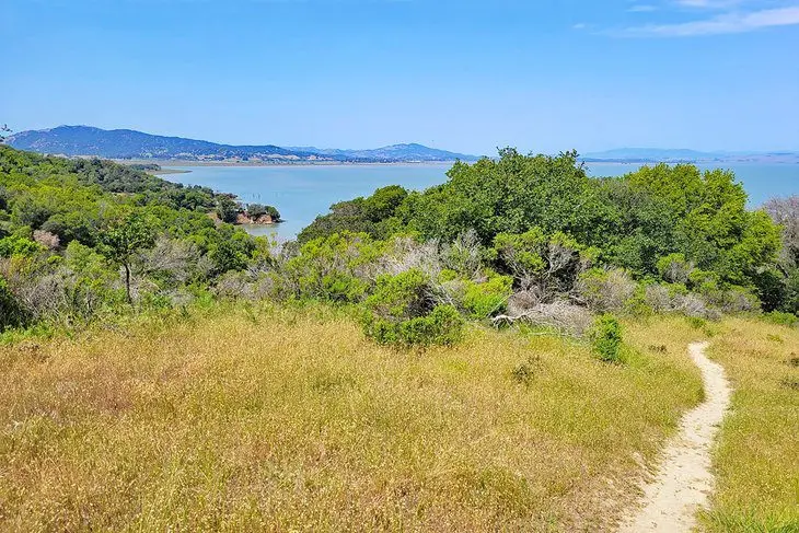 15 Top-Rated Hiking Trails near San Francisco, CA