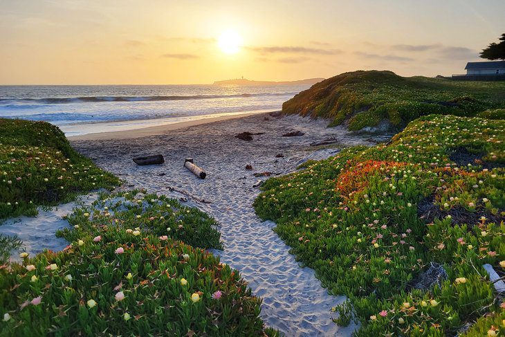 15 Top-Rated Hiking Trails near San Francisco, CA