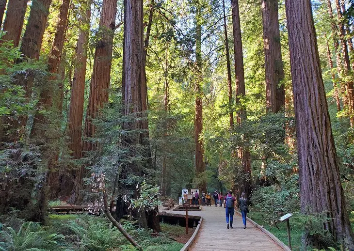 15 Top-Rated Hiking Trails near San Francisco, CA