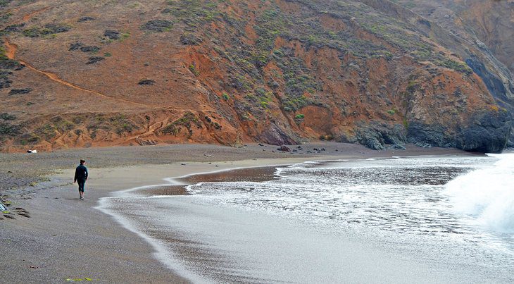 15 Top-Rated Hiking Trails near San Francisco, CA