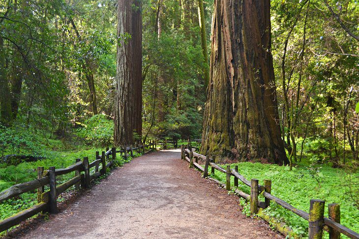 15 Top-Rated Hiking Trails near Santa Cruz, CA