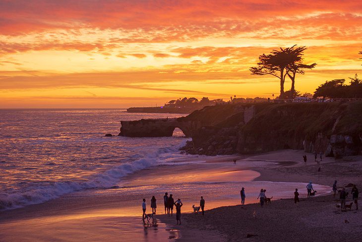 15 Top-Rated Hiking Trails near Santa Cruz, CA