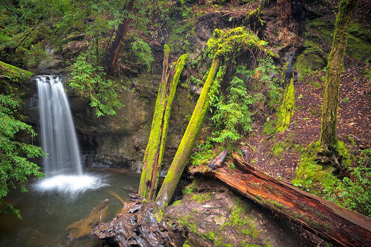 15 Top-Rated Hiking Trails near Santa Cruz, CA