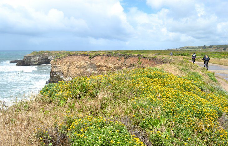 15 Top-Rated Hiking Trails near Santa Cruz, CA