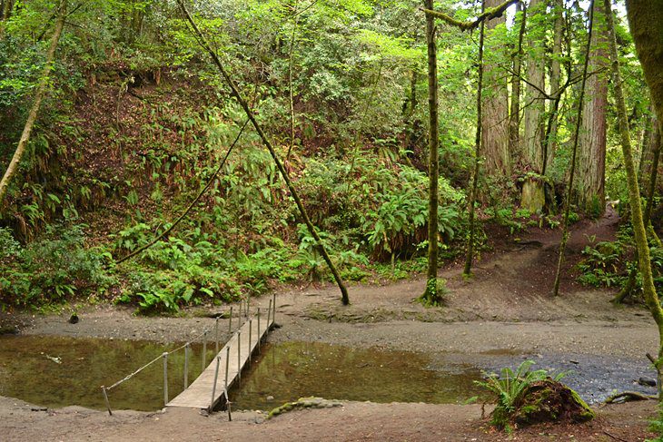 15 Top-Rated Hiking Trails near Santa Cruz, CA