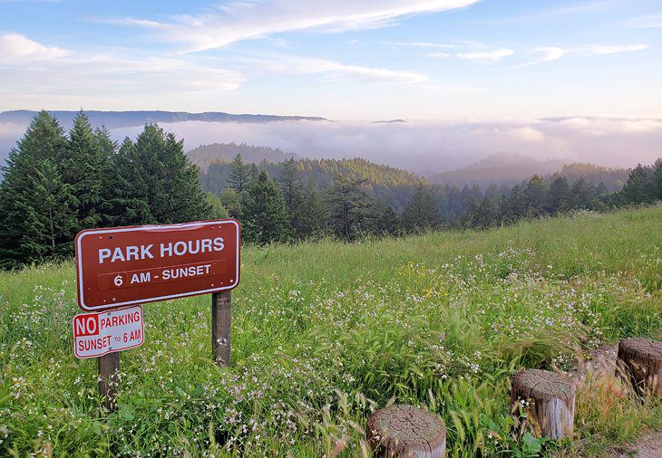 15 Top-Rated Hiking Trails near Santa Cruz, CA