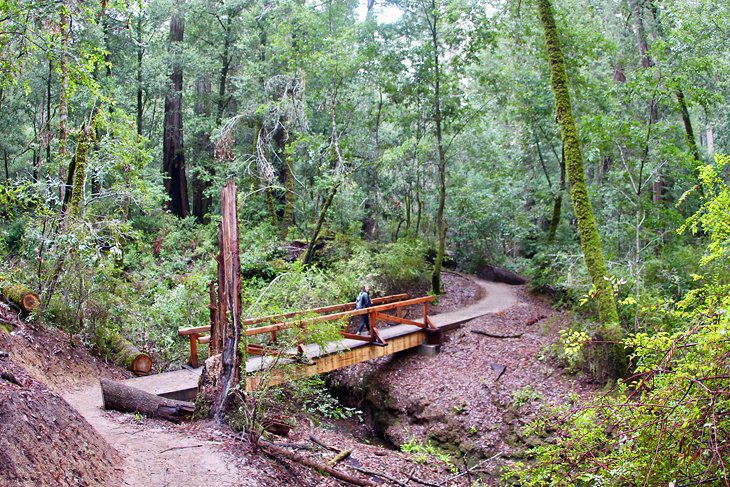 15 Top-Rated Hiking Trails near Santa Cruz, CA