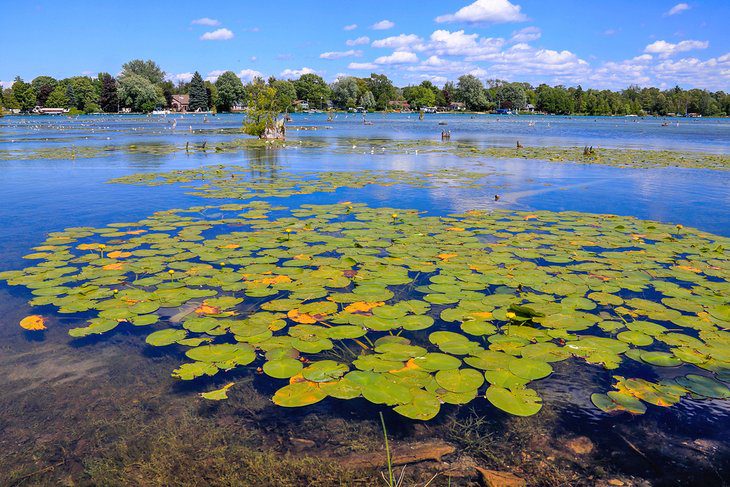 15 Top-Rated Lakes in Michigan