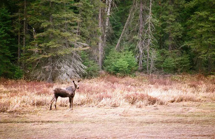 15 Top-Rated Ontario Parks: Exploring Ontarios Great Outdoors