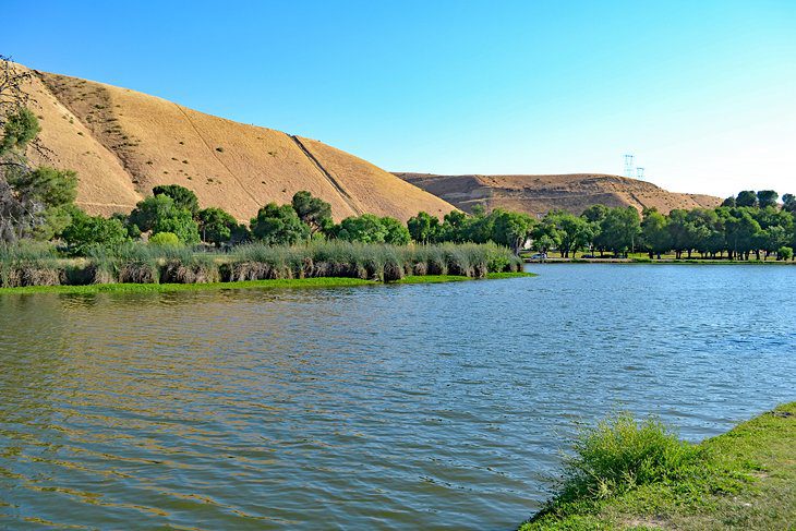 15 Top-Rated Things to Do in Bakersfield, CA