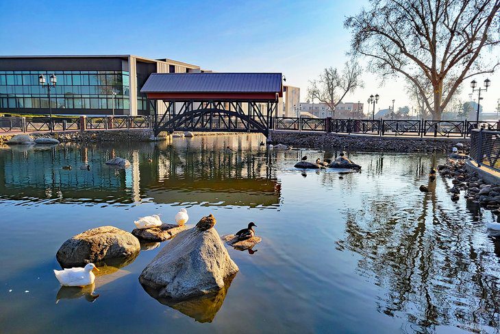 15 Top-Rated Things to Do in Bakersfield, CA