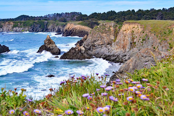 15 Top-Rated Things to Do in Fort Bragg, CA