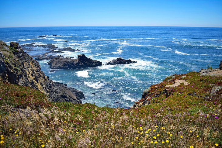 15 Top-Rated Things to Do in Fort Bragg, CA