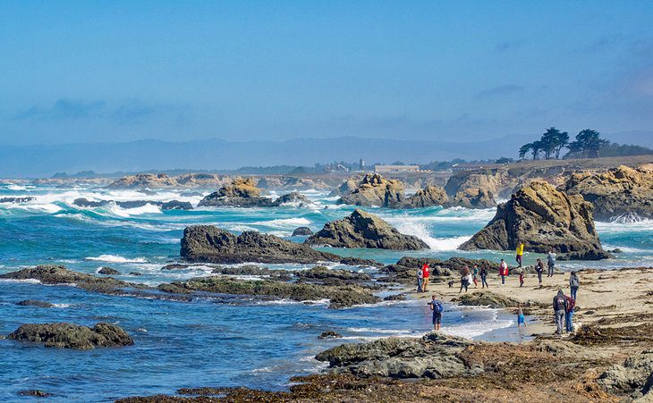 15 Top-Rated Things to Do in Fort Bragg, CA