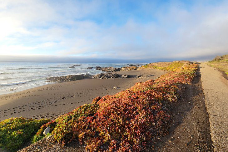 15 Top-Rated Things to Do in Fort Bragg, CA