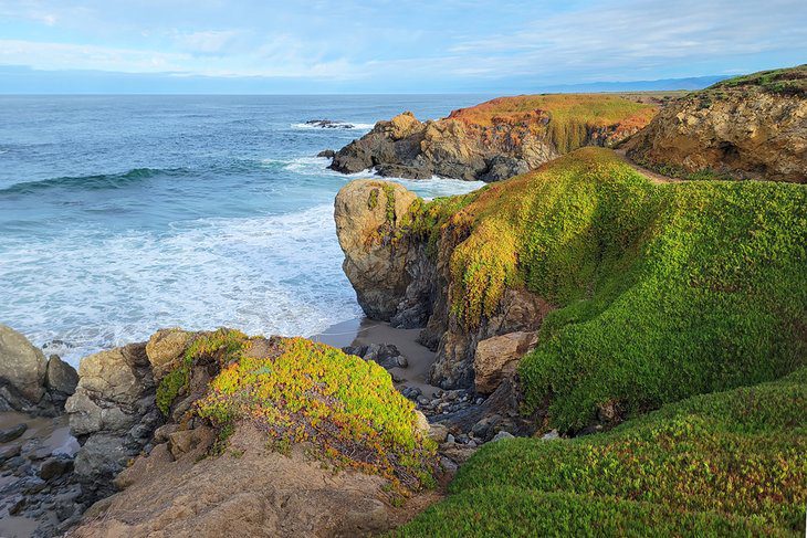 15 Top-Rated Things to Do in Fort Bragg, CA