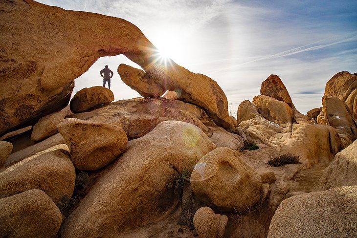 15 Top-Rated Things to Do in Joshua Tree National Park