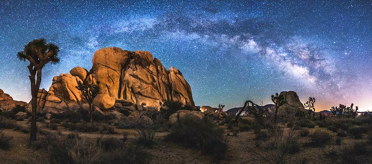 15 Top-Rated Things to Do in Joshua Tree National Park