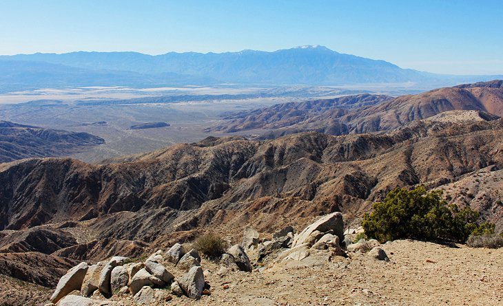 15 Top-Rated Things to Do in Joshua Tree National Park