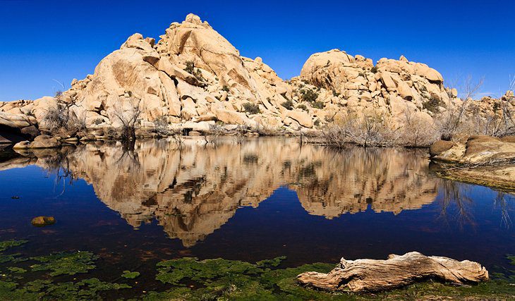 15 Top-Rated Things to Do in Joshua Tree National Park