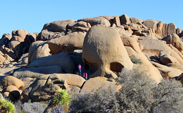 15 Top-Rated Things to Do in Joshua Tree National Park