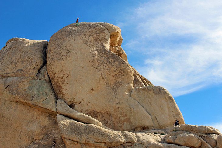 15 Top-Rated Things to Do in Joshua Tree National Park