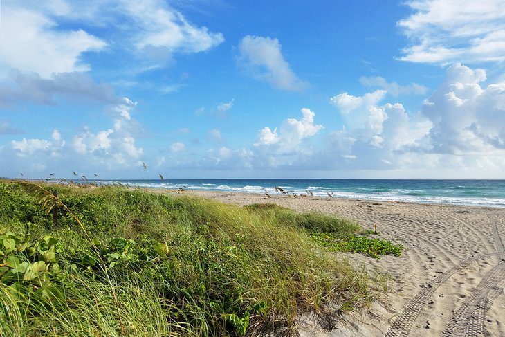 15 Top-Rated Things to Do in Jupiter, FL