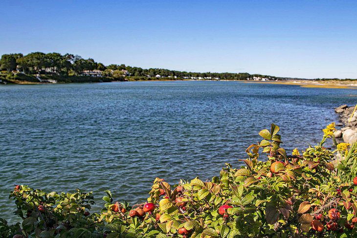 15 Top-Rated Things to Do in Ogunquit, ME