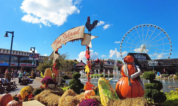 15 Top-Rated Things to Do in Pigeon Forge, TN